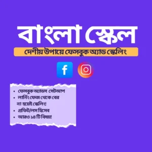 বাংলা স্কেল – দেশীয় উপায়ে ফেসবুক অ্যাড স্কেলিং শেখার E-Book | DigiBox